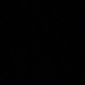 Meet your Posher, Larry